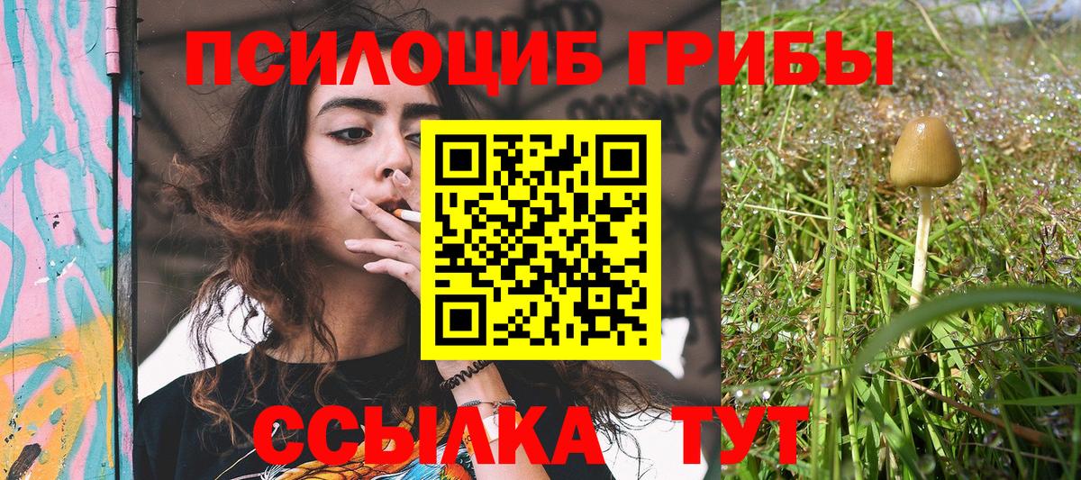 Галлюциногенные грибы ЛСД  где купить наркотик  Вход с VPN  Вышний Волочёк  Псилоцибиновые грибы GOLDEN TEACHER 